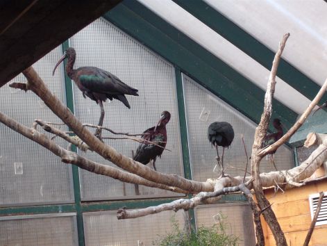 2011.03.26._033.jpg