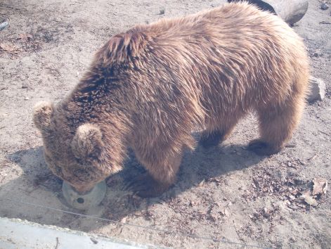 2011.03.26._113.jpg
