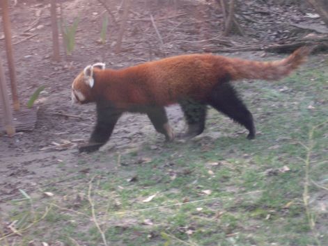 2011.03.26._117.jpg