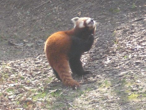2011.03.26._118.jpg