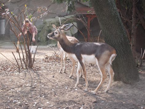 2011.03.26._119.jpg
