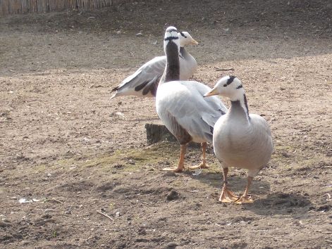 2011.03.26._120.jpg