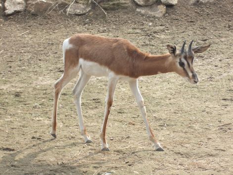2011.03.26._155.jpg