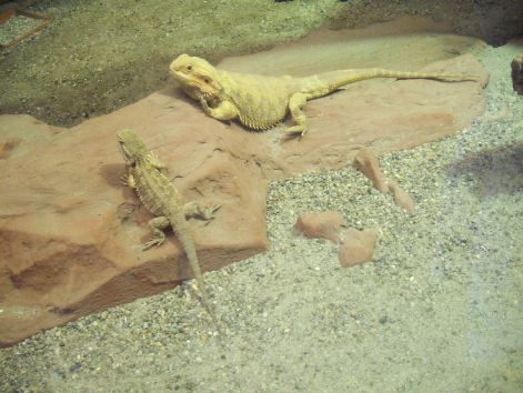 2011.03.26._271.jpg