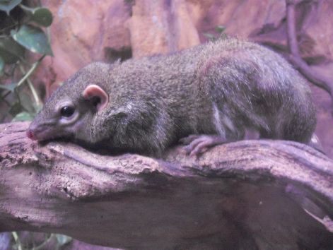 2011.03.26._483.jpg