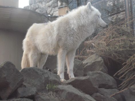 2011.03.26._499.jpg