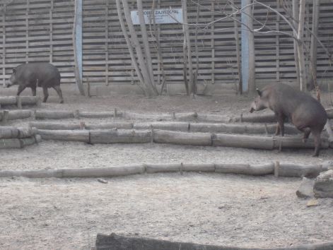 2011.03.26._503.jpg