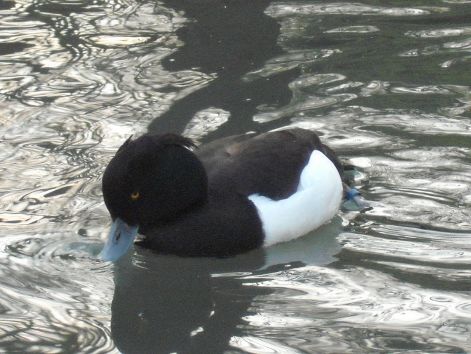 2011.03.26._507.jpg